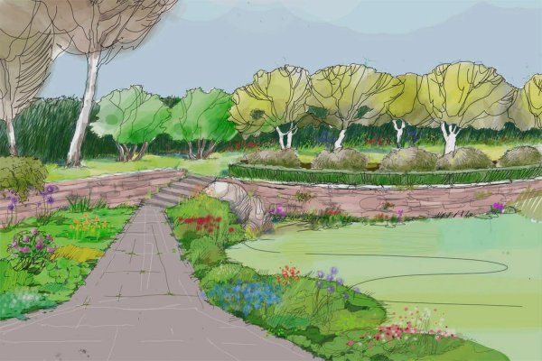 Художник Ольга Дарчук olha Darchuk