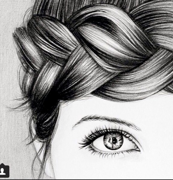 Самый красивый рисунок легкий