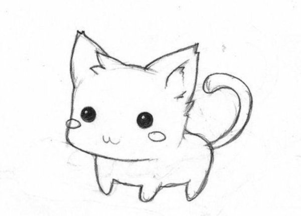 Кошка карандашом