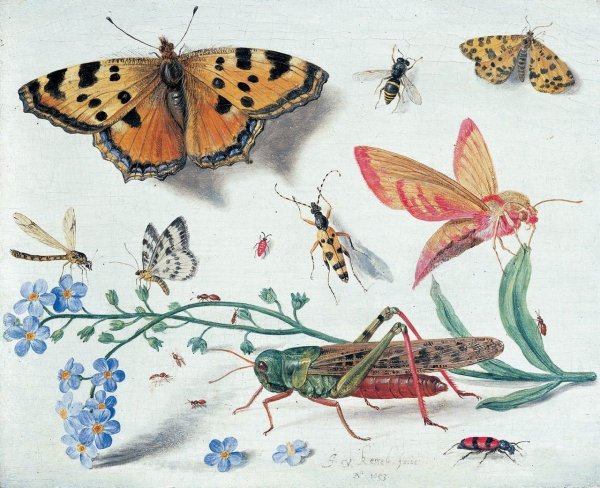 Ян Ван Кессель старший