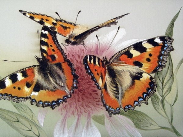 Алина Осеева бабочки живопись