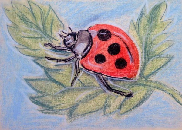 Рисование с детьми насекомые