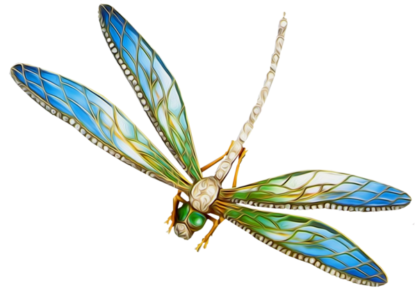 Бабочки и Стрекозы