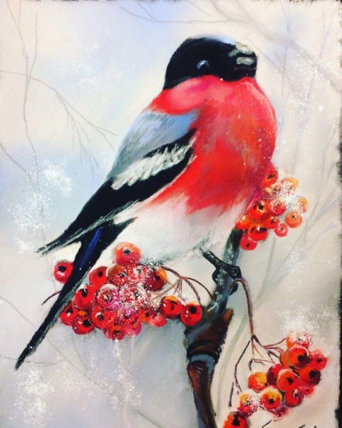 Зимние птицы акварелью