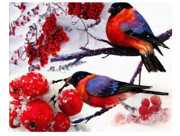 Снегирь красками