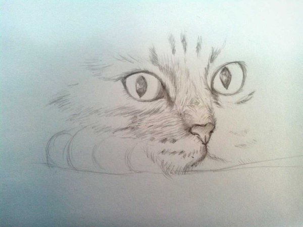 Рисунки на листе легкие