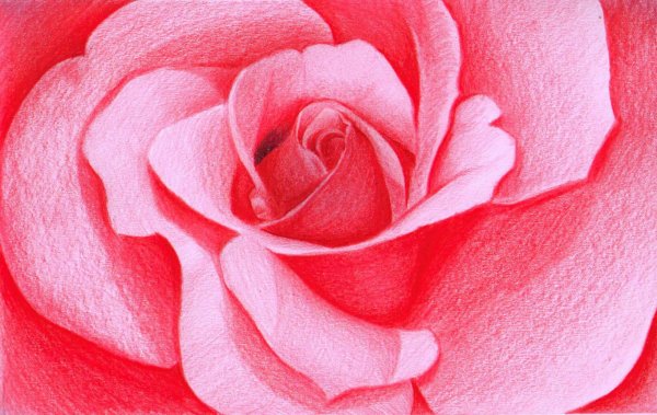 Розовые рисунки