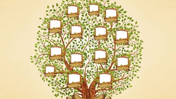 Родословная генеалогическое Древо Шежере