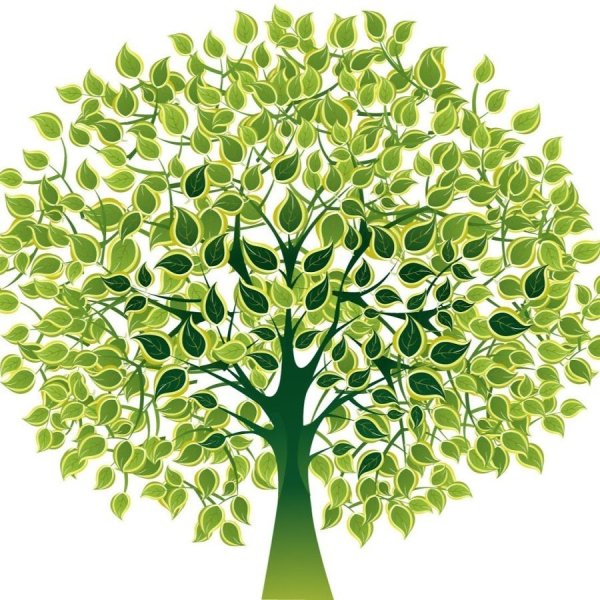 Родословное дерево семьи