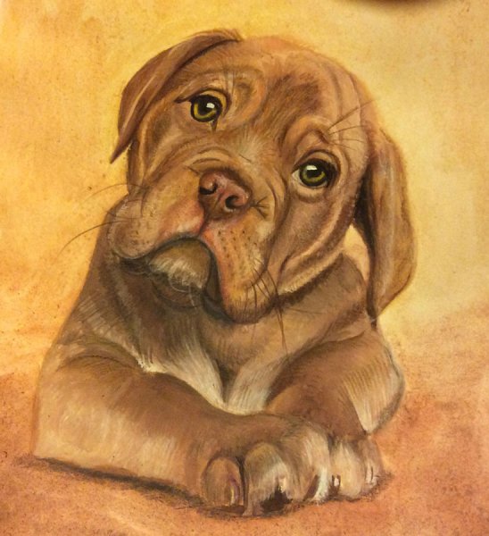 Собака рисунок