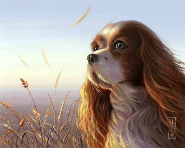 Животные от художницы Kate mur