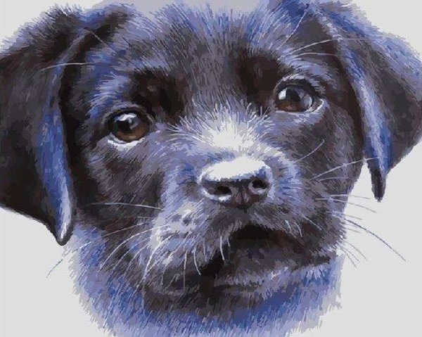 Мультяшные собачки