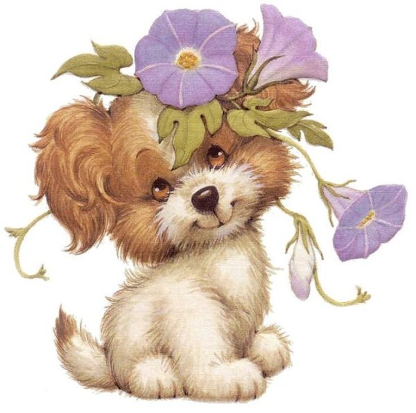 Хаски рисунок