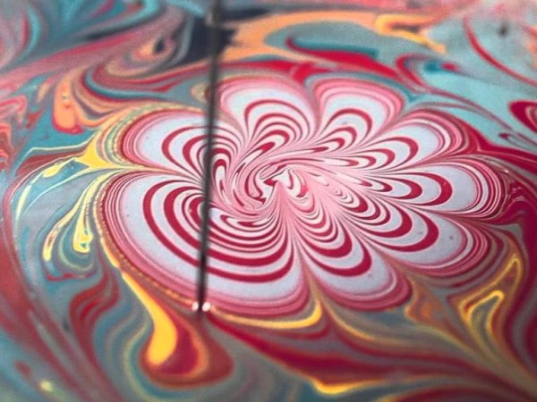 Эбру Сакура