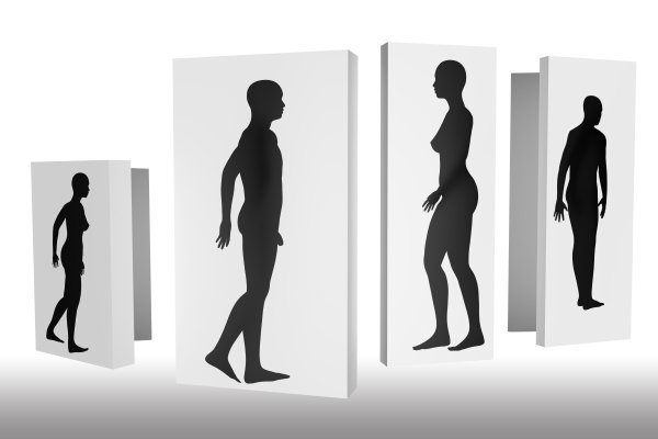 Мужская и женская фигура