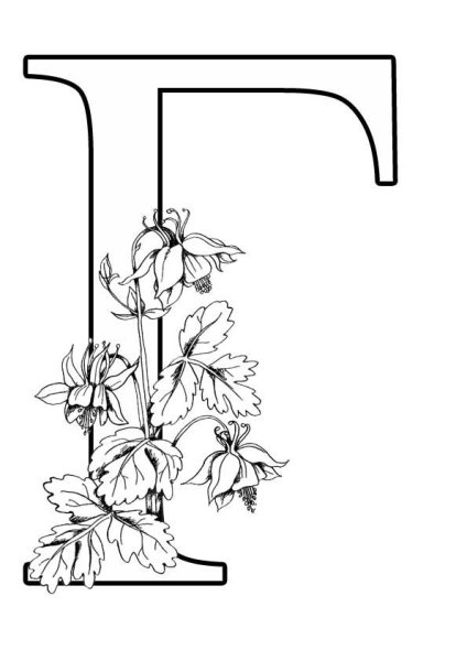 Живые буквы