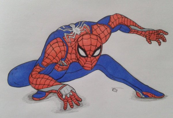 Рисунки Марвел человек паук