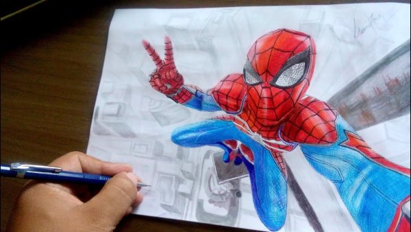 Человек паук рисунок