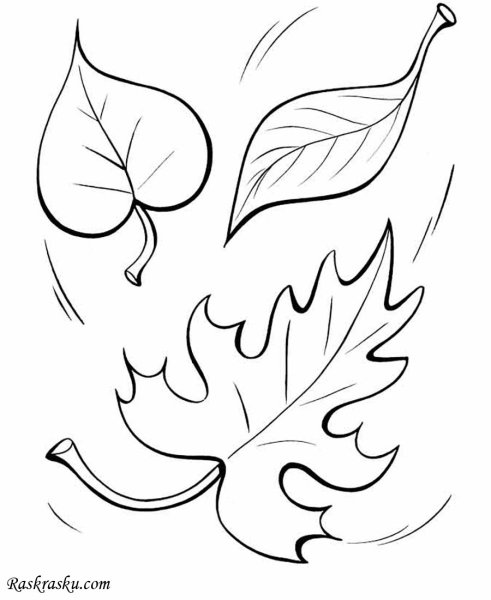 Осенние листья раскраска для детей
