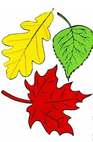 Разноцветные листья для вырезания