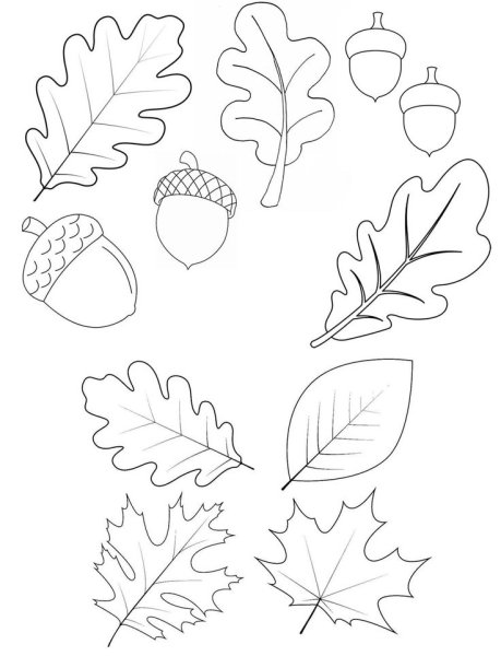 Шаблон листьев для вырезания