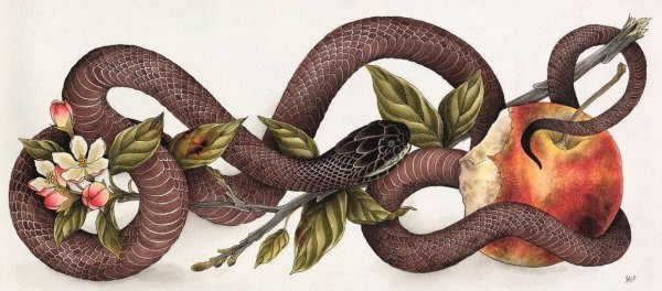 Змея в цветах