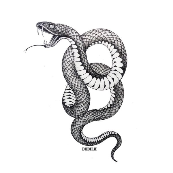 Тату змеи эскизы