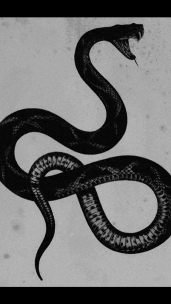 Змея чёрной ручкой