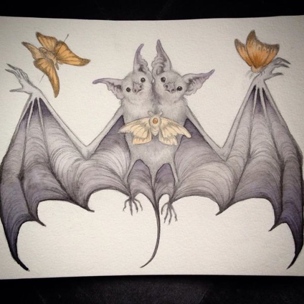 Летучая мышь морда арт