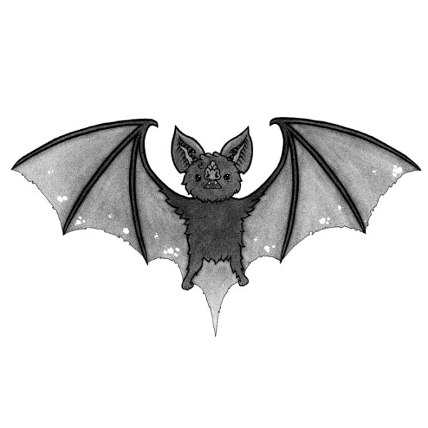 Летучая мышь арт