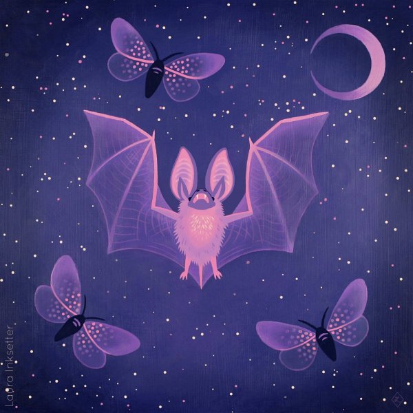 Летучая мышь арт