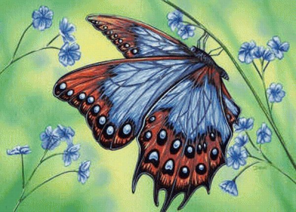 Картинка бабочка на прозрачном фоне