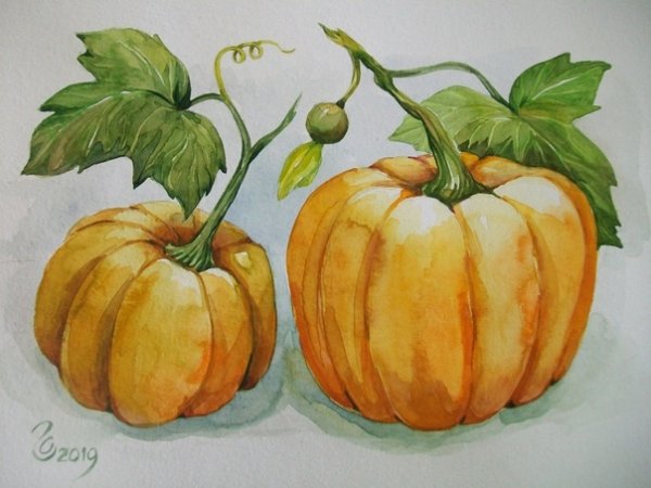 Тыква акварелью