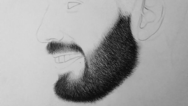 Мужчина с бородой в профиль