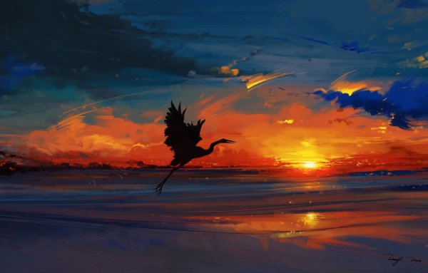 Красивое небо