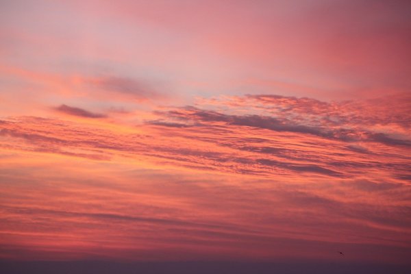 Alena Aenami картины