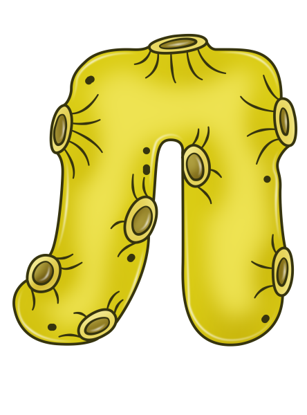 Алфавит и буквы