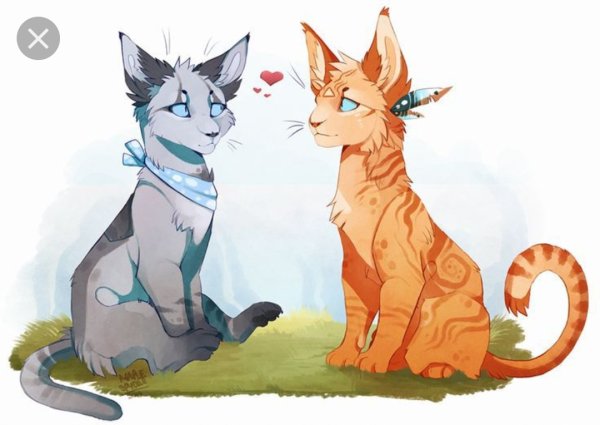 Коты Воители аниме