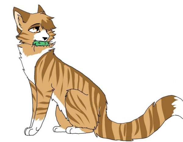 Коты Воители Листвичка