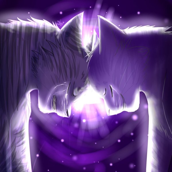 Коты Воители Саша арт