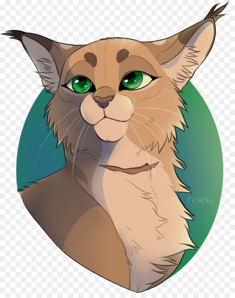 Котики Воители мультяшные