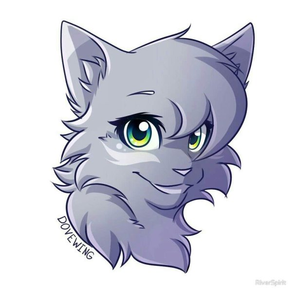 Коты Воители аниме