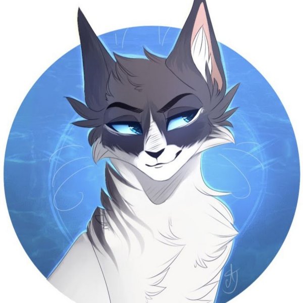 Коты Воители коты звездного племени