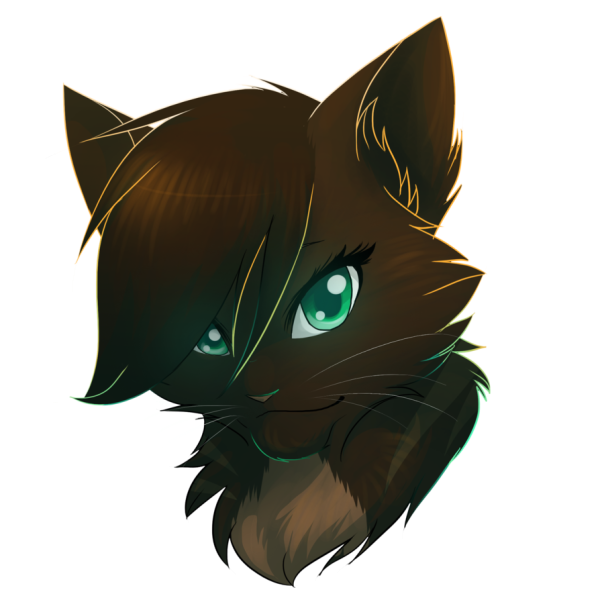 Коты Воители Верескоглазка