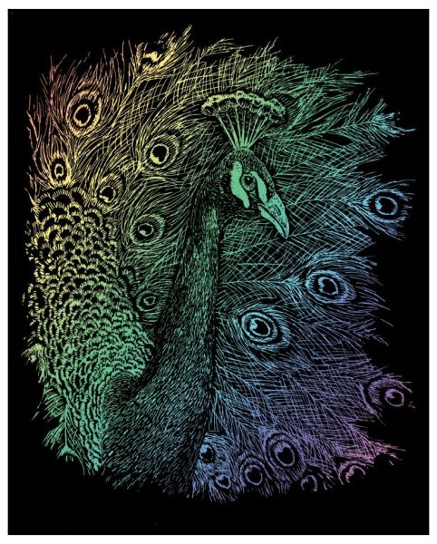 Граттаж Павлин