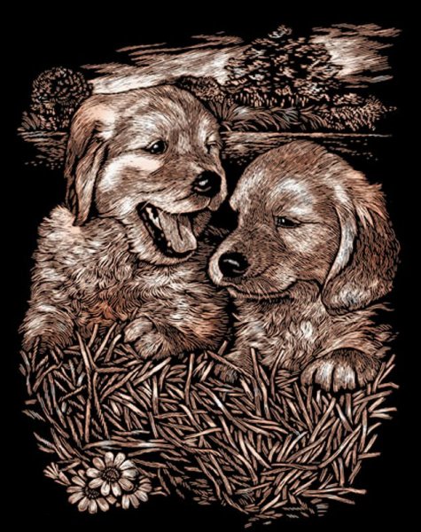 Гравюры для детей от 8 лет