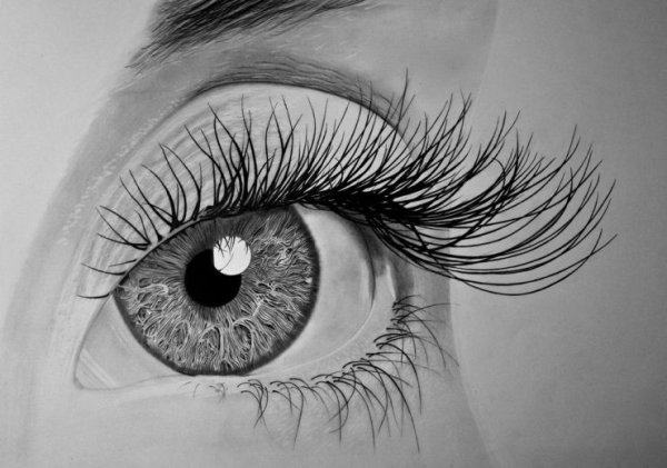 Красивый глаз карандашом