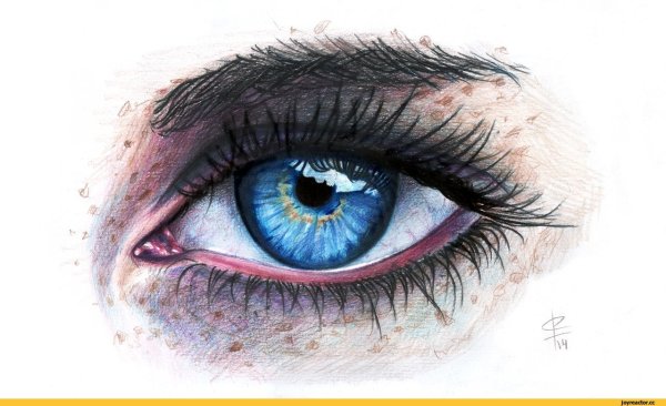 Глаз цветными карандашами