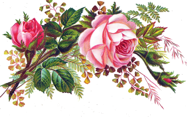 Цветы угловые