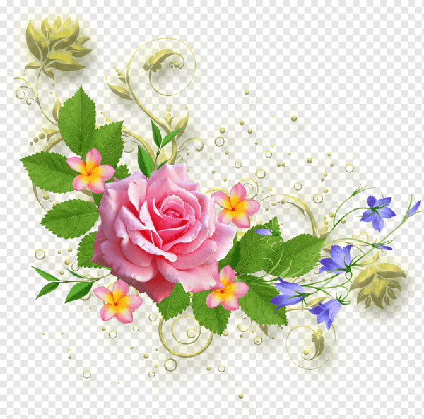 Красивые рисунки цветов